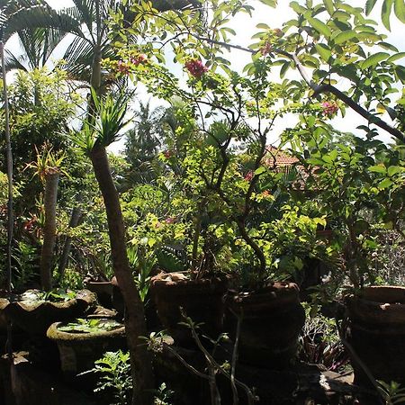 Raditia Homestay Ubud Buitenkant foto