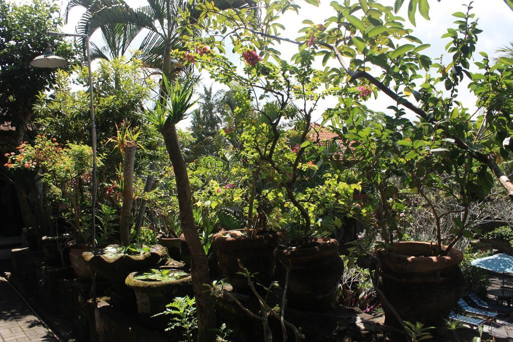 Raditia Homestay Ubud Buitenkant foto